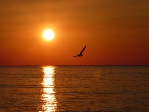 Sanary-sur-Mer (Var) © Jean-Charles PAILLET y